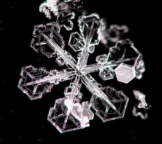 Photograph of a snow flake
