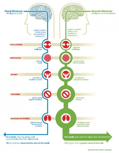 FIXED MIND SET - GROWTH MIND SET