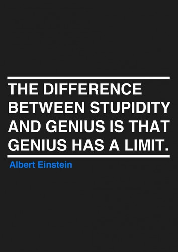 difference between stupid and genius