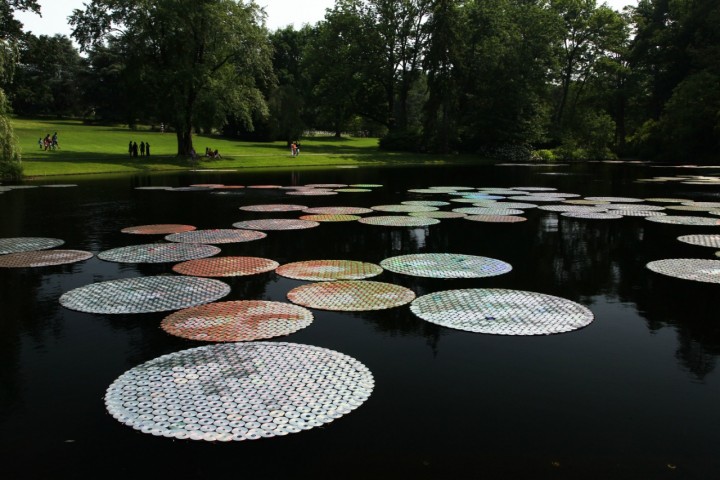 CD disk lily pads