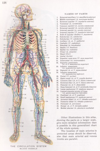 circulation