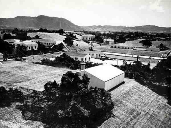 Camouflage - Lockheed Burbank Aircraft Plant