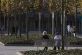 Queens Quay Public Realm and Infrastructure