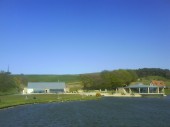 Water Lily, Island Pavilion