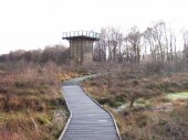 Flanders Moss viewing tower