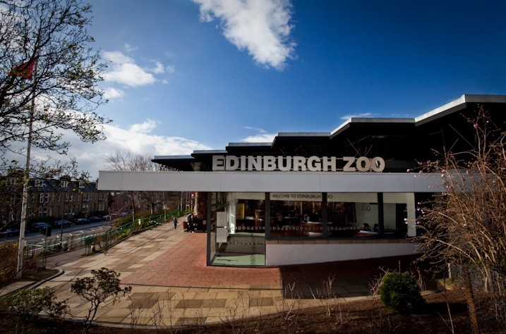 Remodelled Entrance to Edinburgh Zoo : Interiors and exhibitions