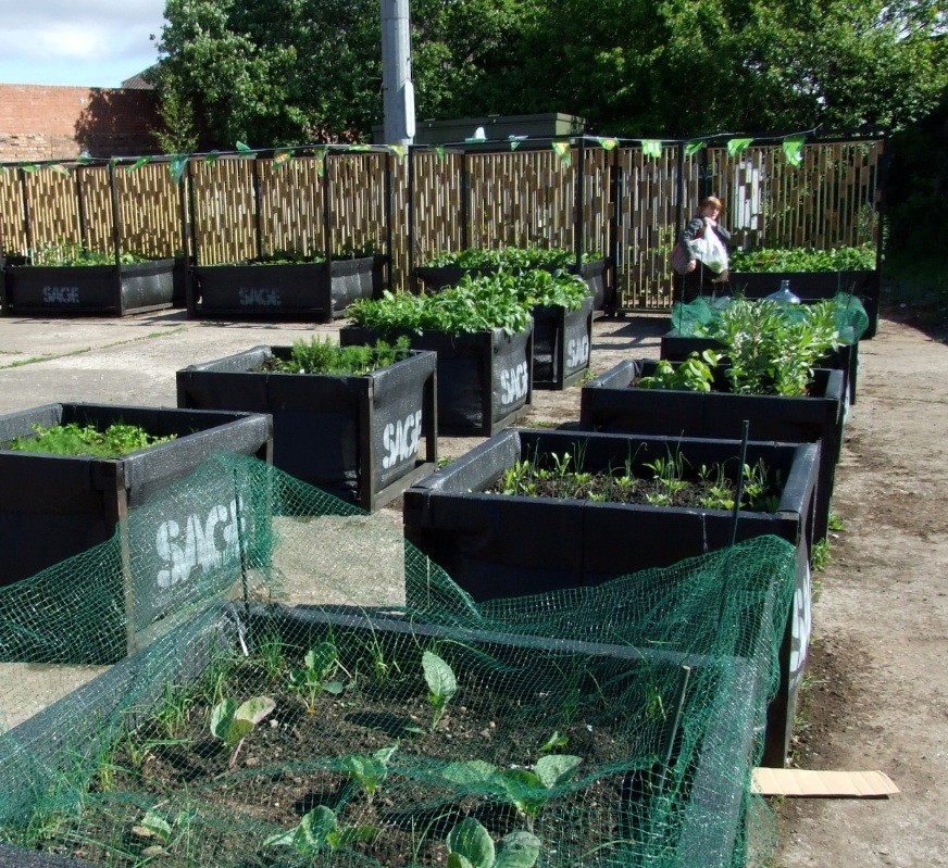 The Concrete Garden : Infrastructure, Urban Design and Landscape