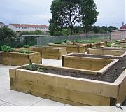 Reidvale Allotments