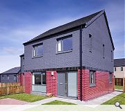 Linwood regeneration