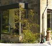 Bay window & kitchen