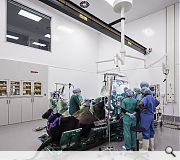 Equine Diagnostic, Surgical & Critical Care Unit