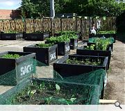 The Concrete Garden