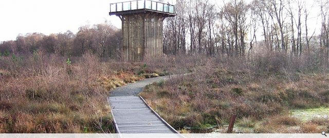 Flanders Moss viewing tower