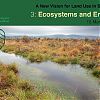 Ecosystems and Energy