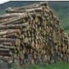 Woodfuel in low carbon building design - free CPD