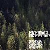 Timber Design: Growth Industry