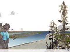 Gross Max's proposals for the ten mile boardwalk and estuary wetland park