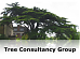 Tree Consultancy Group