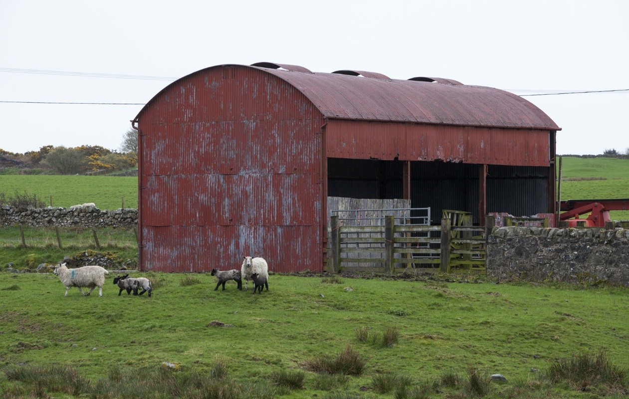 Off the wall murals spring up amidst countryside art push 