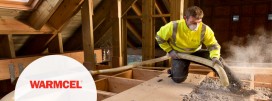 Warmcel Insulation